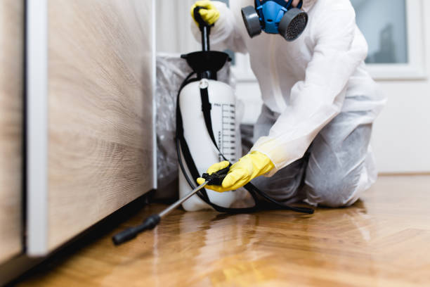 Best Cockroach Control Services  in Brownsville, TX