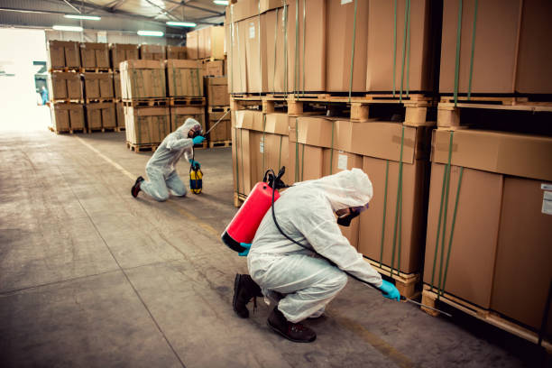 Best Affordable Pest Control Services  in Brownsville, TX
