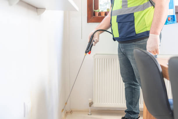 Best Termite Control Services  in Brownsville, TX