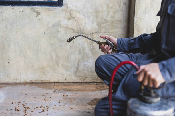 Best Pest Inspection Near Me  in Brownsville, TX